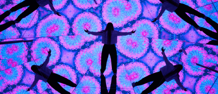 Entry Ticket - AED 119